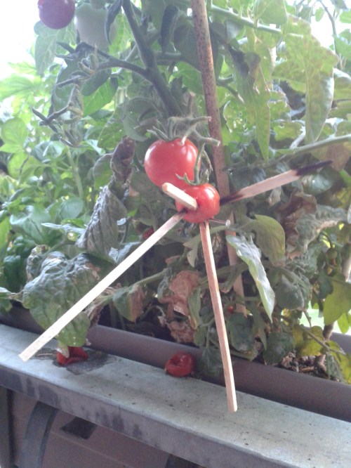 Tomaten-Voodoo_by Enno
